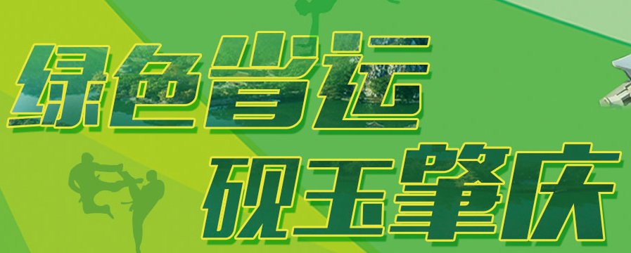 铺设环保塑胶跑道助力2018年广东省第十五届运动会leyu.体育(中国)官方网站(图2)