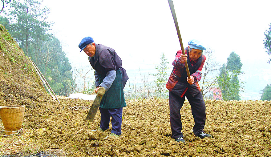 种地的人口_农民种地图片