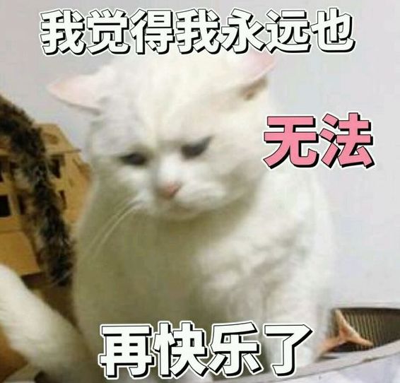 喵星人表情包│真让猫头秃