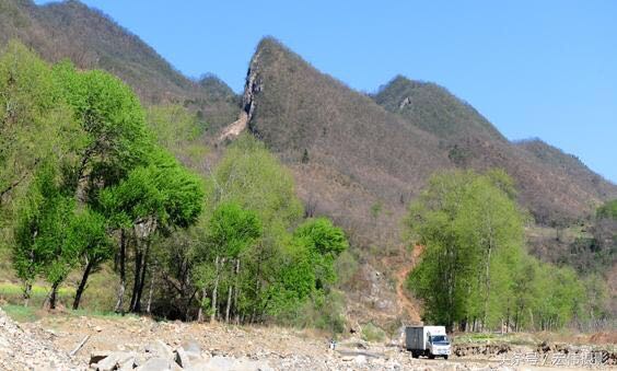 "甪山笋秀"商南八景之一曹营又称北山,商南重点林区,商山四皓甪