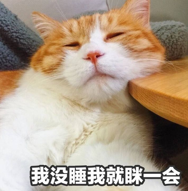 喵星人表情包│真让猫头秃