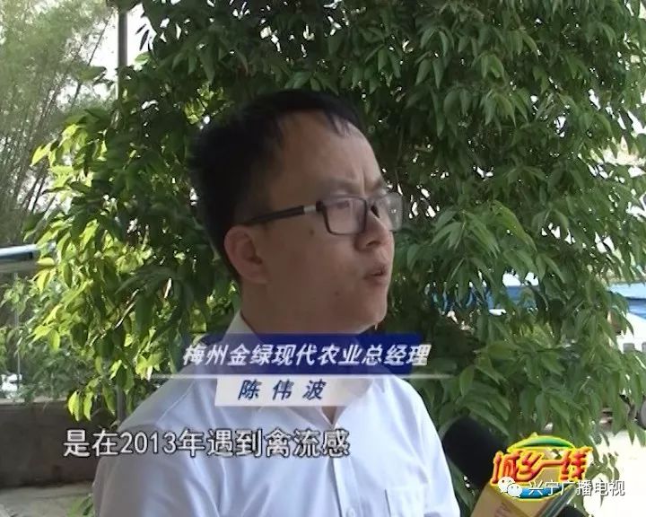 从"门外汉"到"白鸽王"----陈伟波