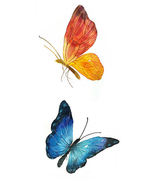 唯美手绘水彩蝴蝶