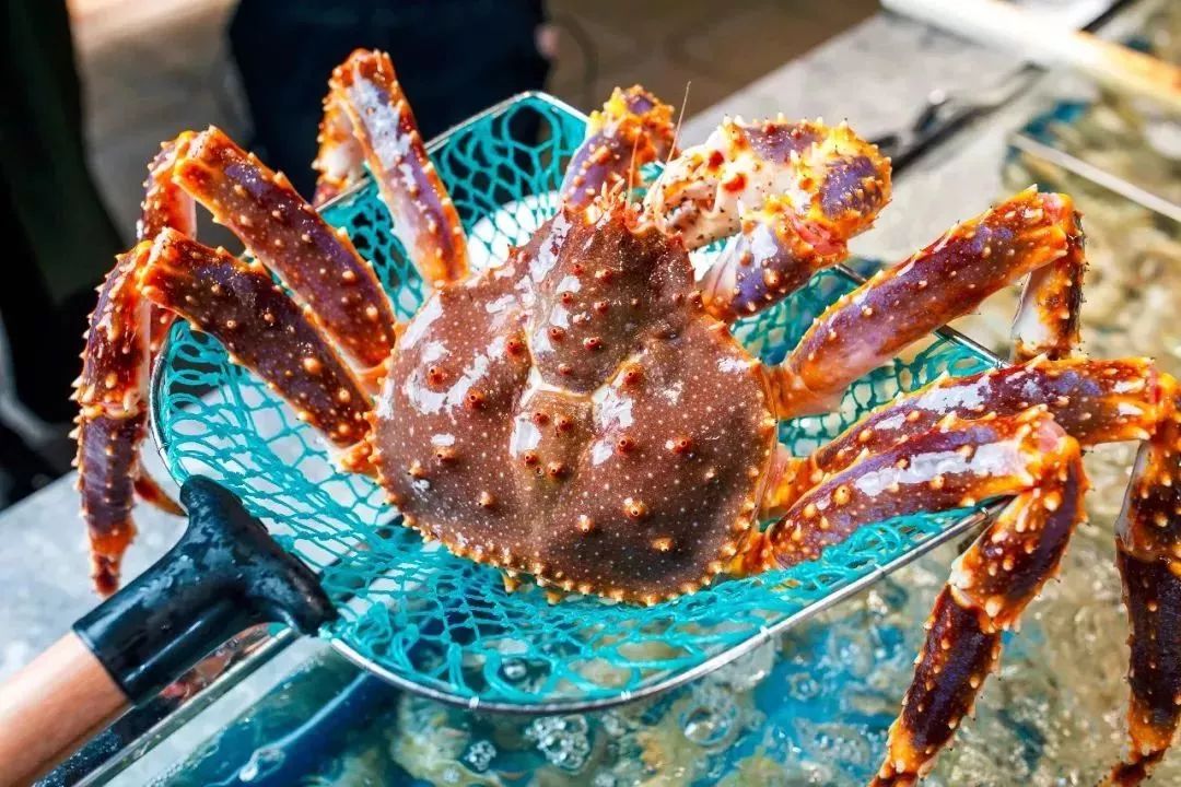 天津新开一家高端海鲜自助,超豪华海鲜阵容,吃到扶墙出!