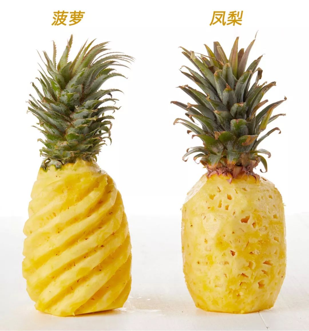 说起凤梨和菠萝的区别,很多人都是一头雾水,我们以这款金钻凤梨为例来