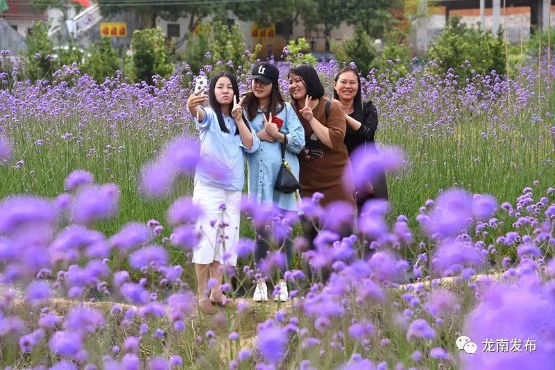 地 点:黄沙管委会畲族村畲寨花海基地"幸福畲寨,唯美花海"摄影比赛2