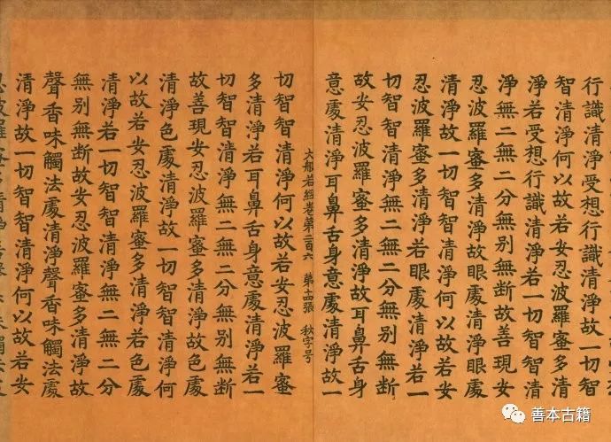 汉文佛教大藏经的整理与研究任重道远_手机搜狐网