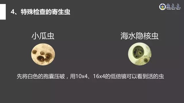 寄生虫疾病治不好?知道了这些,难题不在!