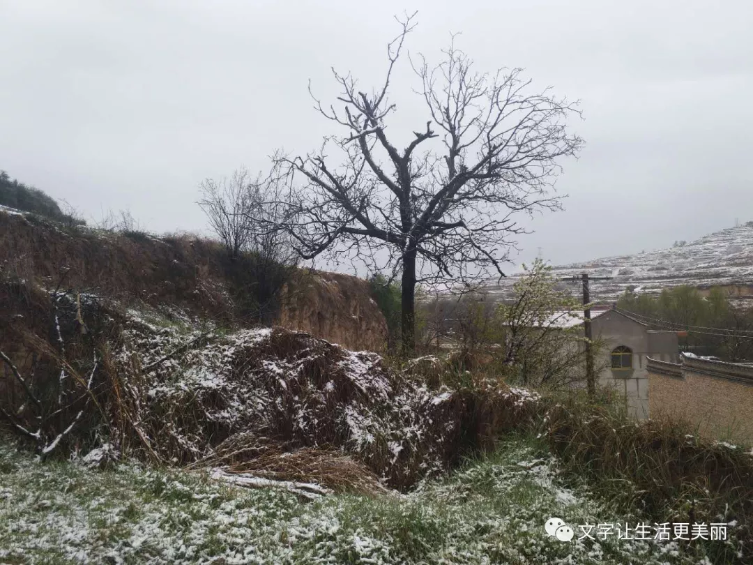 2018年4月日甘谷县金山镇一带下雪后所写的感悟