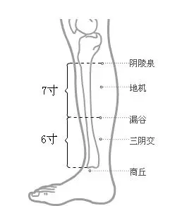 6,阴陵泉