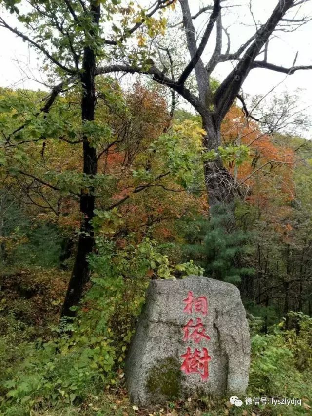 伊春○金山屯 ▏峰岩四季