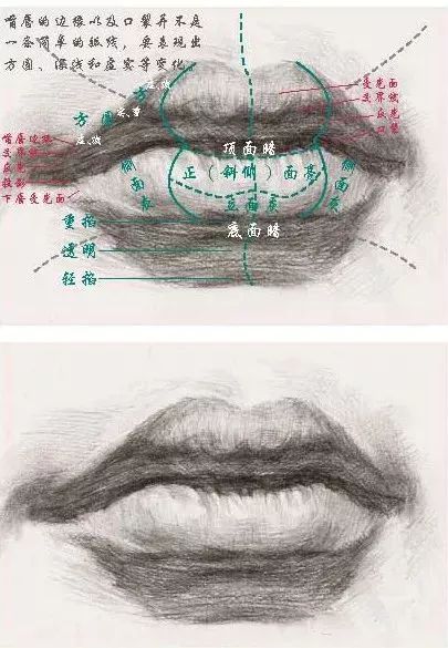 最详细的素描五官嘴巴怎么画?