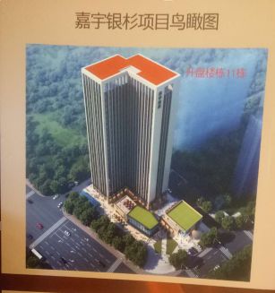 娱乐 正文 据了解,此次新品加推是嘉宇银杉的收官之作,共推出套