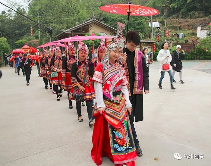 采风侧记|今天我们进景宁畲乡,帮伙伴娶了位美丽的哈新娘