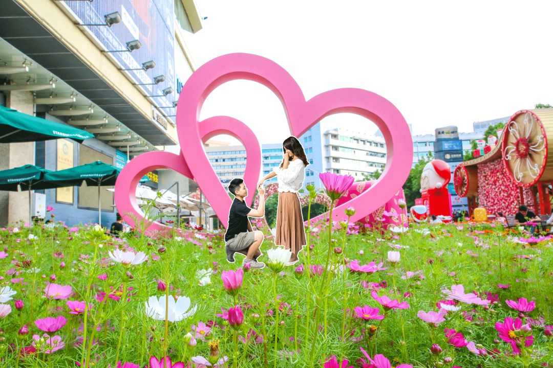 浪漫——爱心求爱墙 少女心满满地面面一走进花海 就瞄准了被花朵