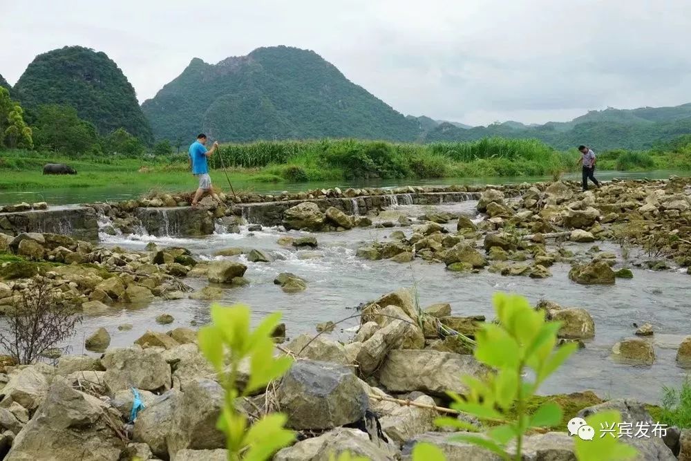 来宾这28个村屯上榜《广西最美家乡》