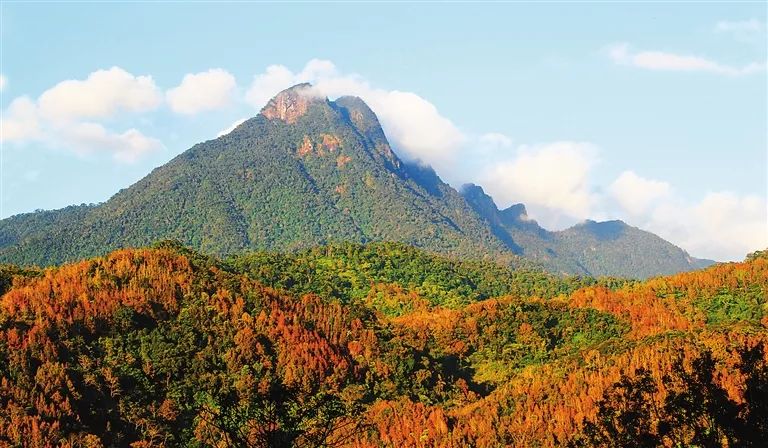 1米的海南屋脊——五指山,巍峨耸立,五峰并列如撑天五指,在云海中时隐