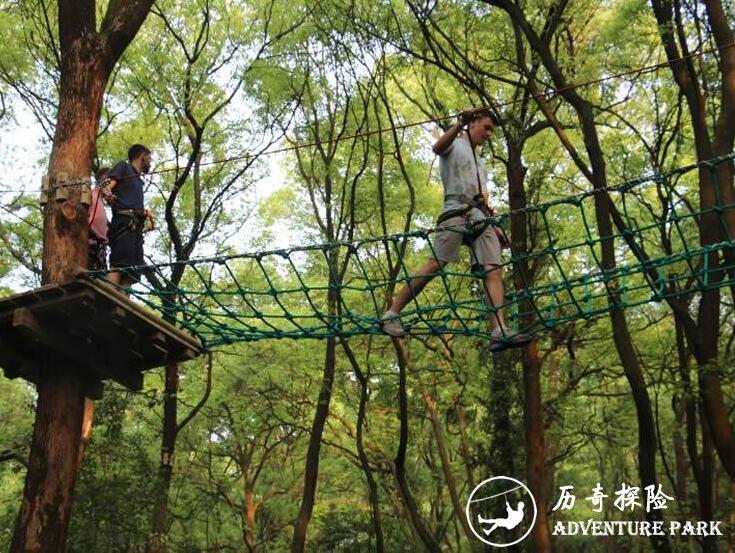 历奇探险,丛林穿越森林探险乐园