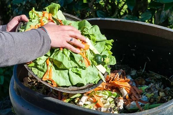 如何消除「浪费食物」的罪恶感?