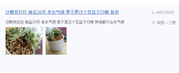 多肉长须根怎么办