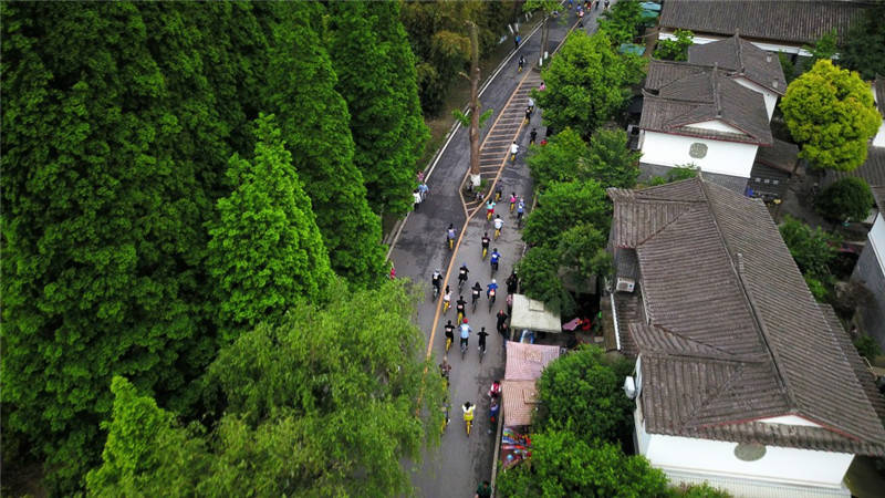 郫都区三道堰青杠树村,春意盎然的绿道,正是骑游好时节.