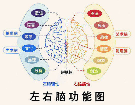 脑鲁国面积人口_色彩面积对比(2)