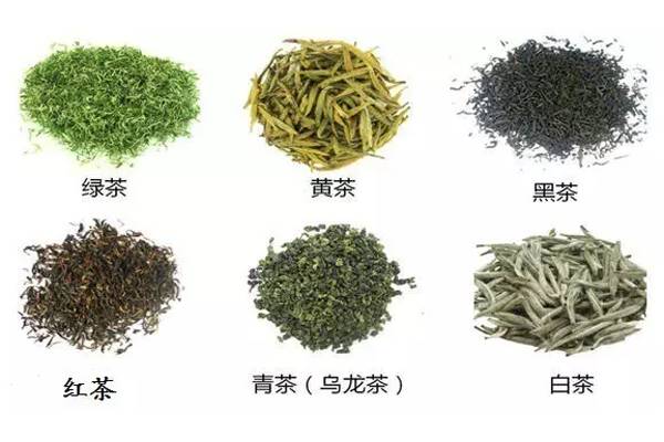 有关于六大茶类的知识