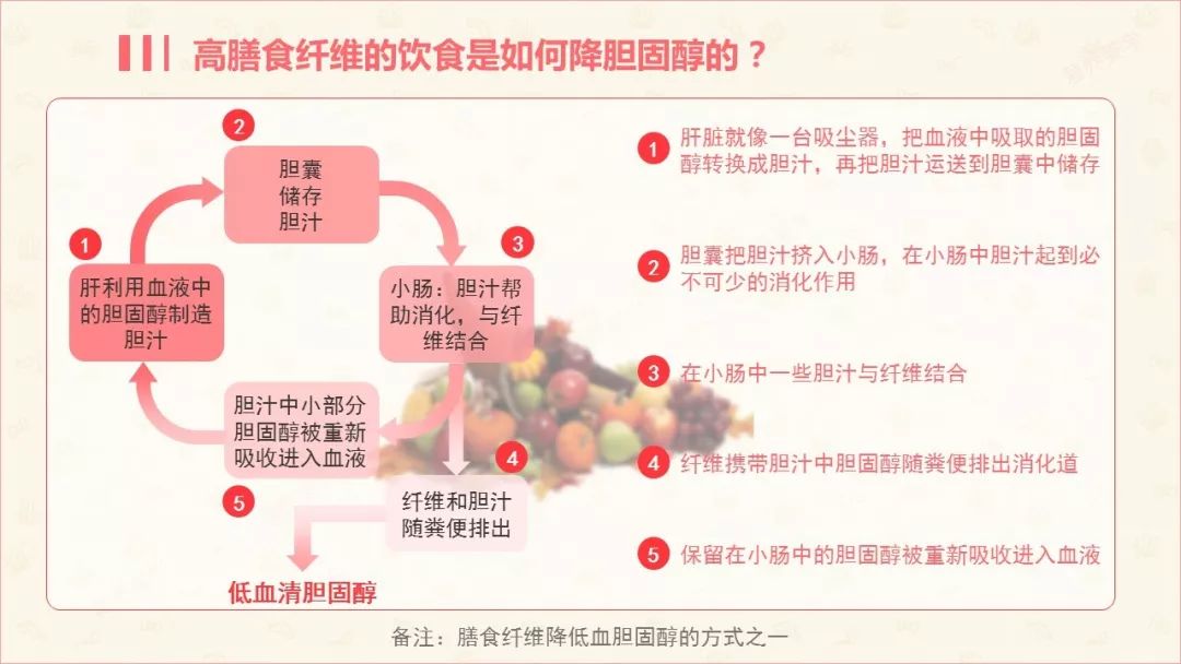 【营养美学】膳食纤维是如何降低血液中的胆固醇?