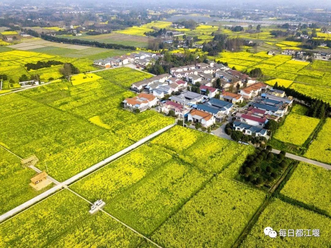 天马镇:金马社区,建华社区,童山社区,碧鸡桥社区,金陵社区