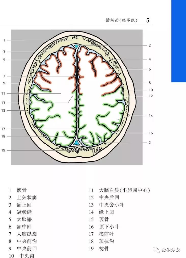 《ct与mri袖珍断层解剖图谱 第1卷