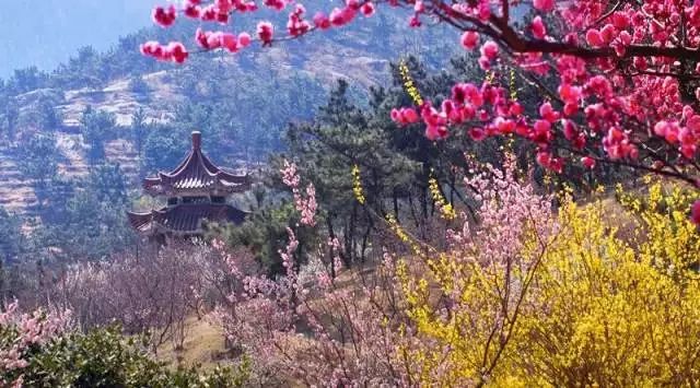 (青岛十梅庵风景区)