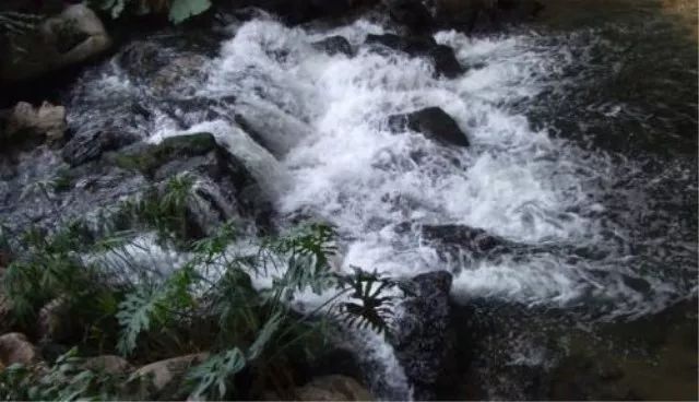 西涧【唐】杜甫《秋浦途中》萧萧山路穷秋雨,淅淅溪风一岸蒲.