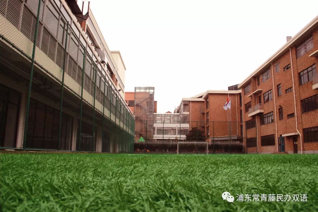 民办常青藤小学位于上海市浦东新区康桥秀沿路800号,校区前身为上海