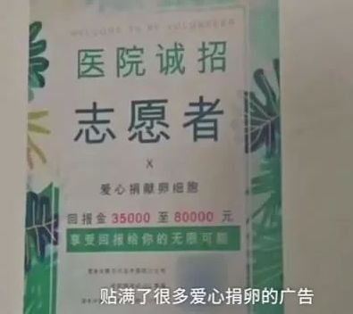 捐一次至少3万?捐卵广告遍布高校,背后真相令人发指