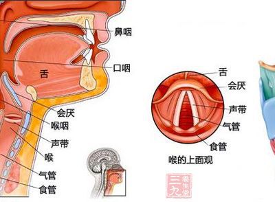 珍爱嗓音养声了解一下