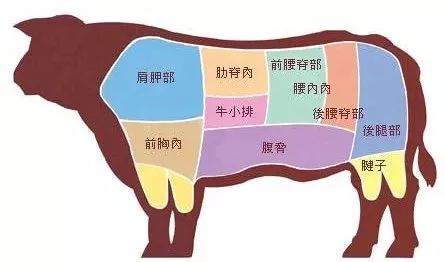 爆炒,炖汤,做肉馅要用哪个部位的牛肉?