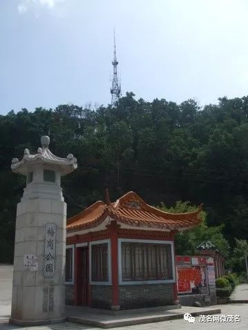 在茂名,只要有人的地方 就有公园!