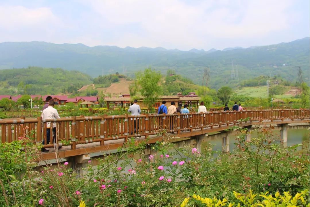 芦山县龙门镇新貌 与此同时 川报观察城市日推广活动也在如火如荼的