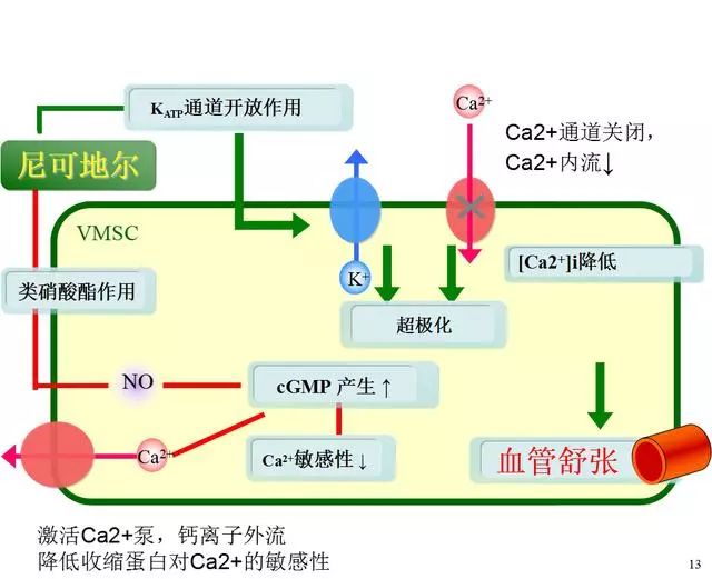 2.β受体阻断剂