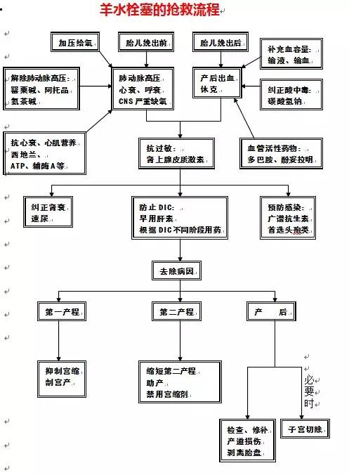 产科流程图全汇总赶快收藏