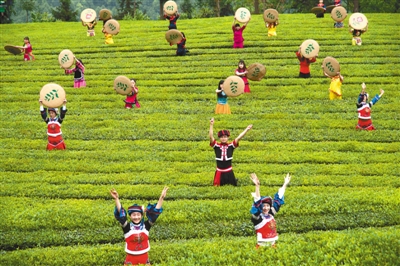 当地农民在五峰县渔洋关镇青岗岭茶园为游客表演土家族采茶舞(4月15日