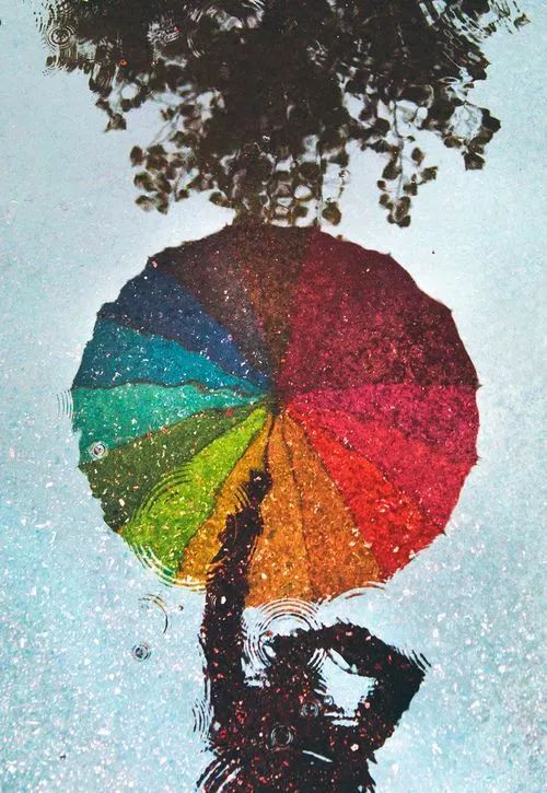 雨中伞,是大地上盛开的花
