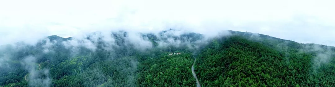 行摄广元市中心城区天然碧玉黑石坡森林公园