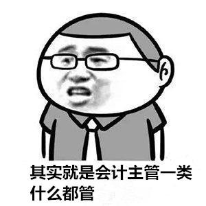 公司招我去当出纳出路真的没有当会计好吗会计和出纳有什么不一样