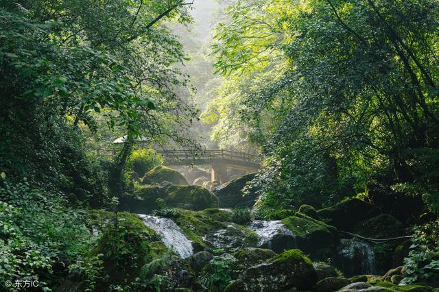 景区面积200平方千米,最高峰老君阁海拔1260米,青城山分为前山和后山