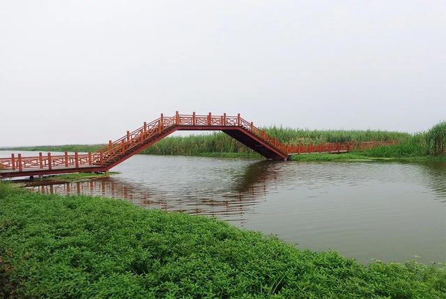 走着"桥"……洪泽湖湿地de桥个个风景独好,而你却