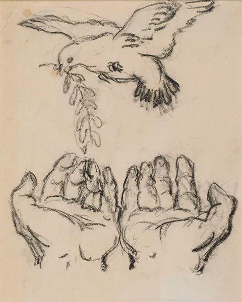 亚太和大和平鸽画稿,1952年,16×12.5cm,纸本铅笔