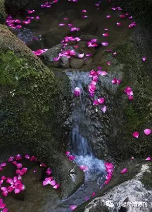 细草拥坛人迹绝,落花沈涧水流香