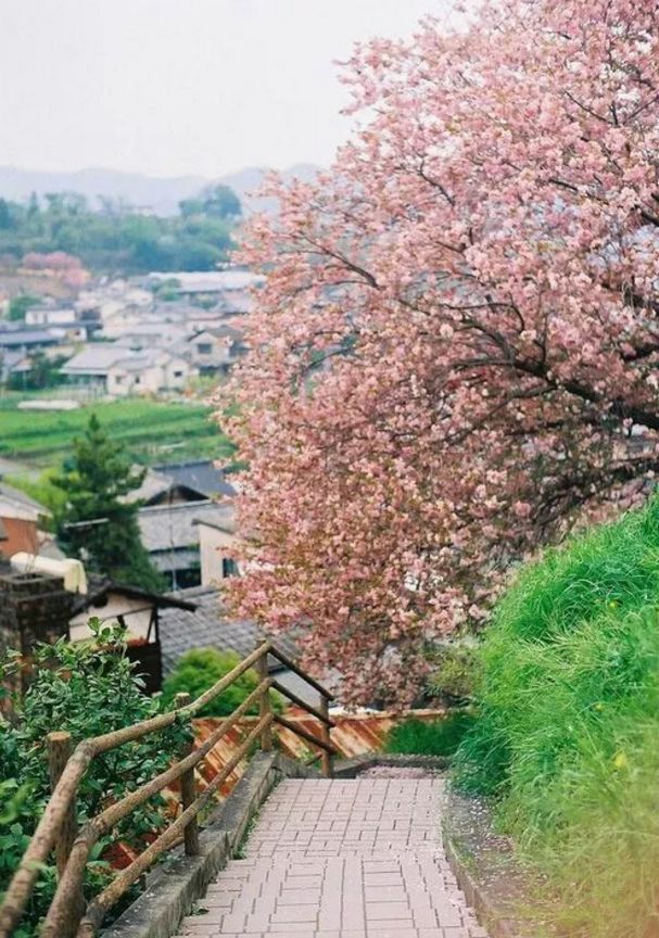 江湖厌倦,我想归隐田园