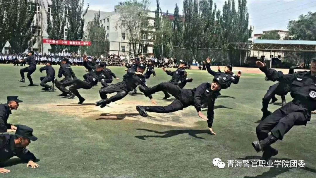 教育 正文  这里是青海警官职业学院, 也是我们的另一个家.